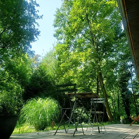 La Petite Foret * Mons-Boubert