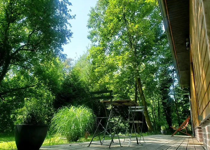 La Petite Foret * Mons-Boubert